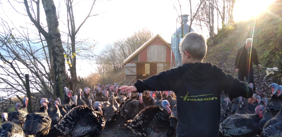 Benjamin_haust 2020_slide